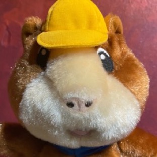page12-1005-thumb.jpg